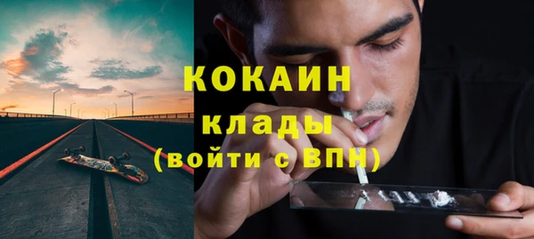 хмурый Каменка