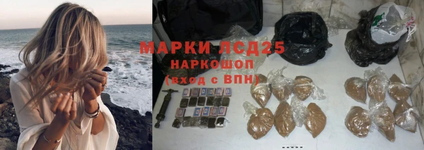 индика Каменногорск